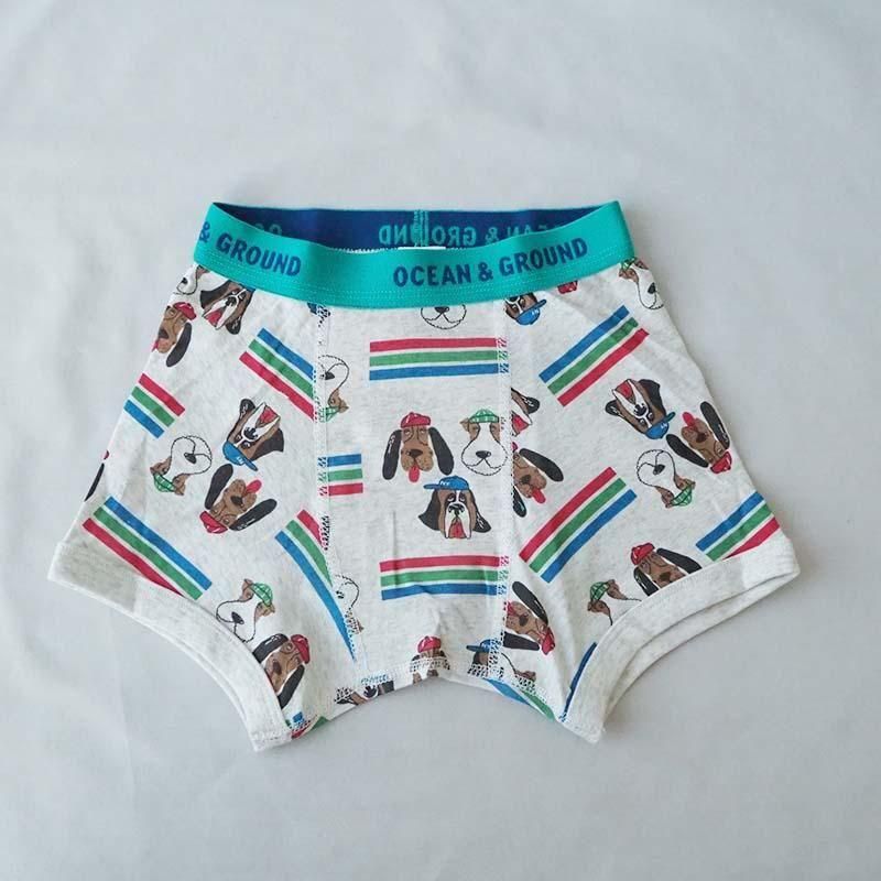 <img class='new_mark_img1' src='https://img.shop-pro.jp/img/new/icons7.gif' style='border:none;display:inline;margin:0px;padding:0px;width:auto;' />ܥѥġDOGIV  100-140 Ocean&Ground  