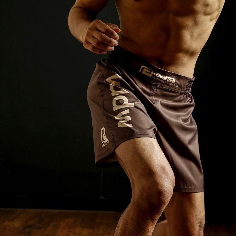 REVERSAL リバーサル rvddw FIGHT SHORTS ファイトパンツ 総合