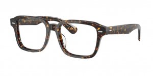 谷ŹOLIVER PEOPLES OV5562U Errisson 1741 ᥬͥե졼 (Сԡץ륺)