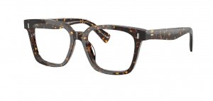 谷ŹOLIVER PEOPLES OV5568U Aiona ᥬͥե졼 1741 (Сԡץ륺)