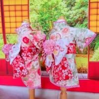 着物 - オーダーメイドペットウェアSACHI