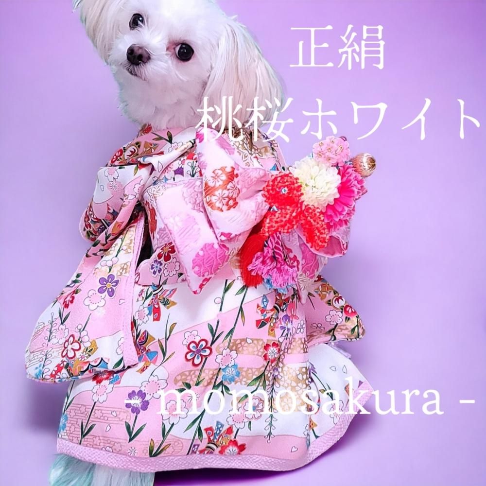犬の着物桜Mサイズ 犬服・アクセサリー