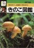 硡Τ޴