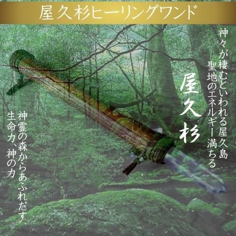 予約販売 生命の杖 屋久杉ヒーリングワンド Pneuma 予約販売 生命の杖 屋久杉ヒーリングワンド Pneuma