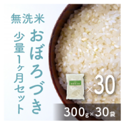 無洗米使い切り1ヶ月セットおぼろづき【送料込】