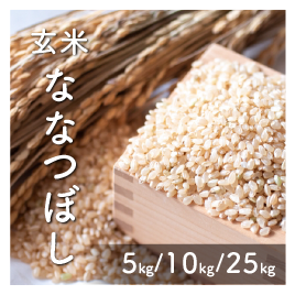 玄米 ななつぼし 【送料無料】 - 確かな品質の北海道米 玄米 ななつぼし 【送料無料】 - 確かな品質の北海道米