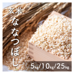 玄米 ななつぼし　【送料無料】