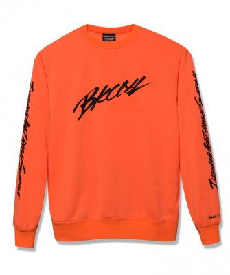 <img class='new_mark_img1' src='https://img.shop-pro.jp/img/new/icons24.gif' style='border:none;display:inline;margin:0px;padding:0px;width:auto;' />-BackChannel-  SLEEVE PRINT CREW SWEAT