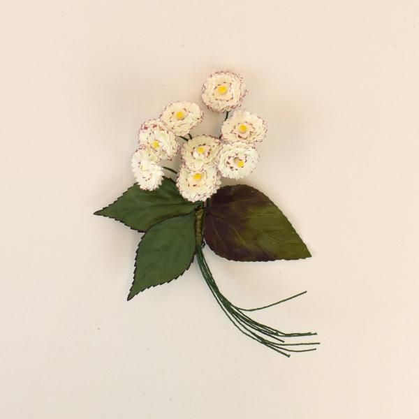 バラ色の帽子 | Online Store