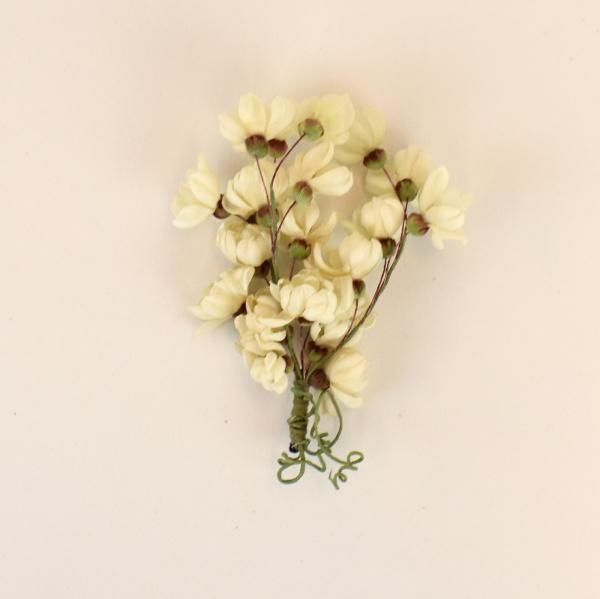 バラ色の帽子 | Online Store