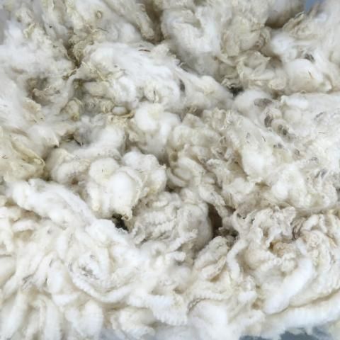 <img class='new_mark_img1' src='https://img.shop-pro.jp/img/new/icons8.gif' style='border:none;display:inline;margin:0px;padding:0px;width:auto;' />Ѥߥե꡼  ME01