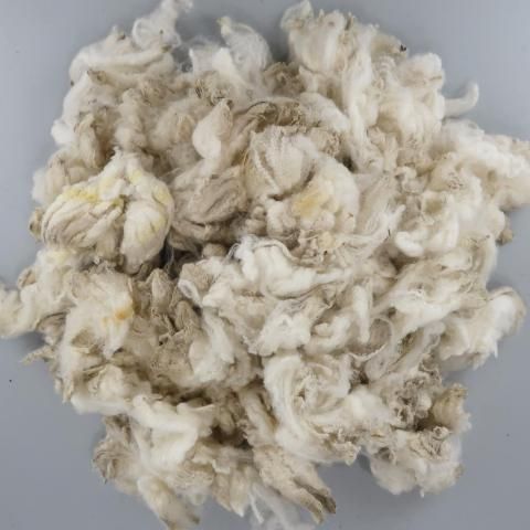 <img class='new_mark_img1' src='https://img.shop-pro.jp/img/new/icons8.gif' style='border:none;display:inline;margin:0px;padding:0px;width:auto;' />Ѥߥե꡼  CM01