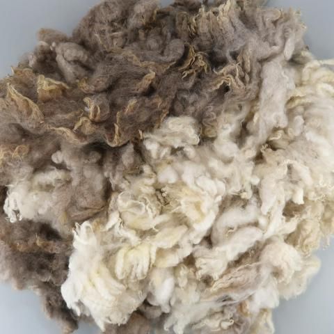 <img class='new_mark_img1' src='https://img.shop-pro.jp/img/new/icons8.gif' style='border:none;display:inline;margin:0px;padding:0px;width:auto;' />Ѥߥե꡼ ǡ CO01