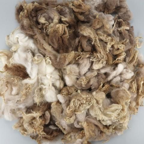 <img class='new_mark_img1' src='https://img.shop-pro.jp/img/new/icons8.gif' style='border:none;display:inline;margin:0px;padding:0px;width:auto;' />Ѥߥե꡼ ǡ CO02