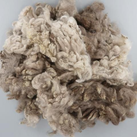 <img class='new_mark_img1' src='https://img.shop-pro.jp/img/new/icons8.gif' style='border:none;display:inline;margin:0px;padding:0px;width:auto;' />Ѥߥե꡼  CM02