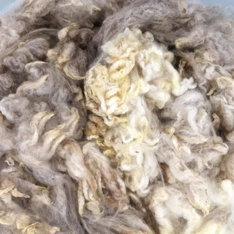 <img class='new_mark_img1' src='https://img.shop-pro.jp/img/new/icons8.gif' style='border:none;display:inline;margin:0px;padding:0px;width:auto;' />Ѥߥե꡼ ˡ RM02