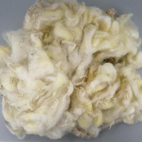 <img class='new_mark_img1' src='https://img.shop-pro.jp/img/new/icons8.gif' style='border:none;display:inline;margin:0px;padding:0px;width:auto;' />Ѥߥե꡼ ڥǡ PR01