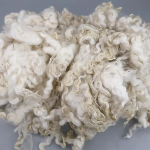 <img class='new_mark_img1' src='https://img.shop-pro.jp/img/new/icons8.gif' style='border:none;display:inline;margin:0px;padding:0px;width:auto;' />Ѥߥե꡼ 󥰥å饹 EL01