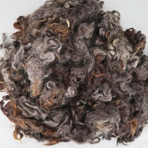 <img class='new_mark_img1' src='https://img.shop-pro.jp/img/new/icons8.gif' style='border:none;display:inline;margin:0px;padding:0px;width:auto;' />Ѥߥե꡼ 󥰥å饹 EL02