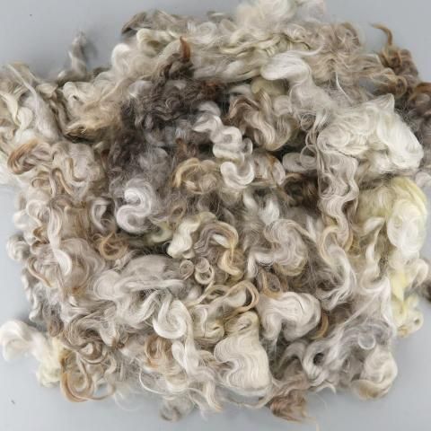 <img class='new_mark_img1' src='https://img.shop-pro.jp/img/new/icons8.gif' style='border:none;display:inline;margin:0px;padding:0px;width:auto;' />Ѥߥե꡼ 󥫡 LN01