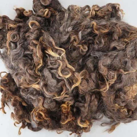 <img class='new_mark_img1' src='https://img.shop-pro.jp/img/new/icons8.gif' style='border:none;display:inline;margin:0px;padding:0px;width:auto;' />Ѥߥե꡼ 󥫡 LN31