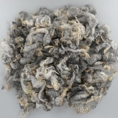 �����Ѥߥե꡼�� ���åȥ��� G05