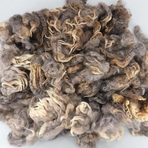 <img class='new_mark_img1' src='https://img.shop-pro.jp/img/new/icons8.gif' style='border:none;display:inline;margin:0px;padding:0px;width:auto;' />Ѥߥե꡼ ڥǡ PR02