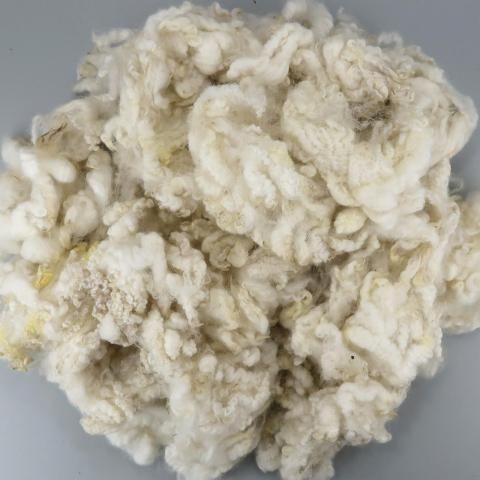 <img class='new_mark_img1' src='https://img.shop-pro.jp/img/new/icons8.gif' style='border:none;display:inline;margin:0px;padding:0px;width:auto;' />Ѥߥե꡼ ˡ RM04