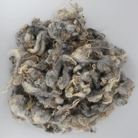 �����Ѥߥե꡼�� ���åȥ��� G07