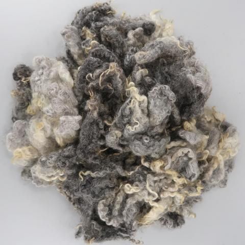 �����Ѥߥե꡼�� ���åȥ��� G09