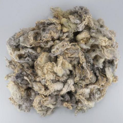 �����Ѥߥե꡼�� ���åȥ��� G10