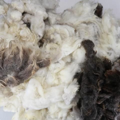 <img class='new_mark_img1' src='https://img.shop-pro.jp/img/new/icons8.gif' style='border:none;display:inline;margin:0px;padding:0px;width:auto;' />�����Ѥߥե꡼�� UK ���㥳�� JA01