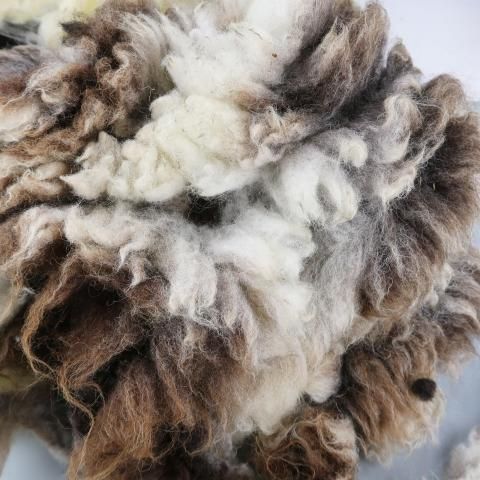 <img class='new_mark_img1' src='https://img.shop-pro.jp/img/new/icons8.gif' style='border:none;display:inline;margin:0px;padding:0px;width:auto;' />�����Ѥߥե꡼�� UK ���㥳�� JA02