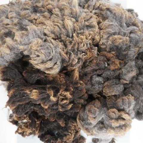 <img class='new_mark_img1' src='https://img.shop-pro.jp/img/new/icons8.gif' style='border:none;display:inline;margin:0px;padding:0px;width:auto;' />�����Ѥߥե꡼�� UK �֥롼�ƥ����� BT01