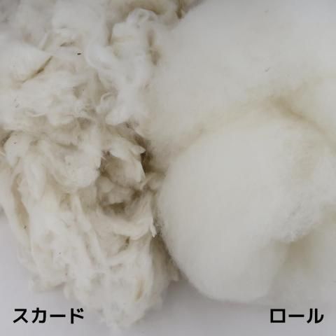 <img class='new_mark_img1' src='https://img.shop-pro.jp/img/new/icons8.gif' style='border:none;display:inline;margin:0px;padding:0px;width:auto;' />