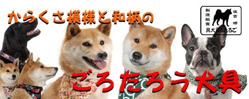 和柄　和風唐草　犬首輪 /ごろたろう犬具