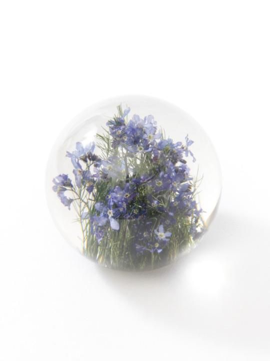 Hafod Grange / PAPER WEIGHT / For get me not photo