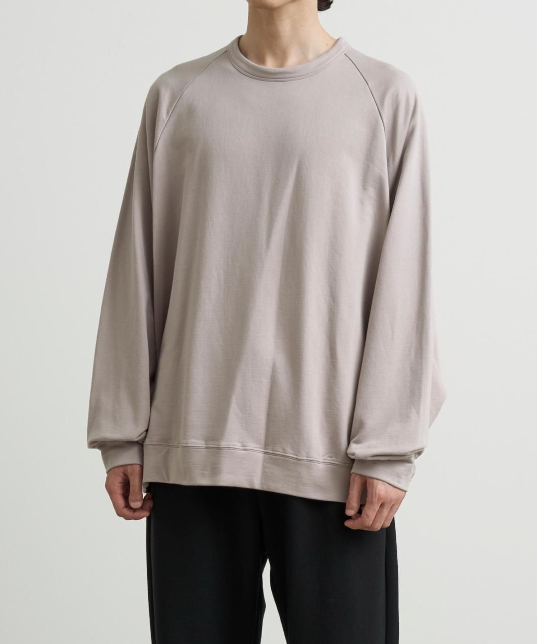 TROVE / CREW NECK SWEAT / GRAY BEIGE photo