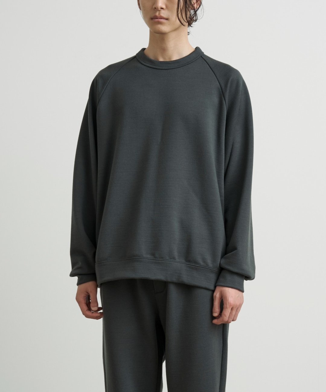 TROVE / MERINO WOOL 36G SWEAT CREW NECK / DARK GRAY photo