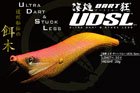UDSL 3.5寸 (ファーストシンキング・モデル)