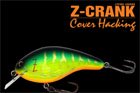 Z-CRANK COVER HACKING