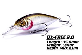 DX-FREE 2.0