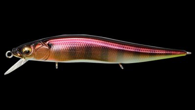 メガバス Megabass ビジョン ワンテンジュニアVISION ONETEN 110 jr. 限定 (SP-C) PM RED HEAD 人気