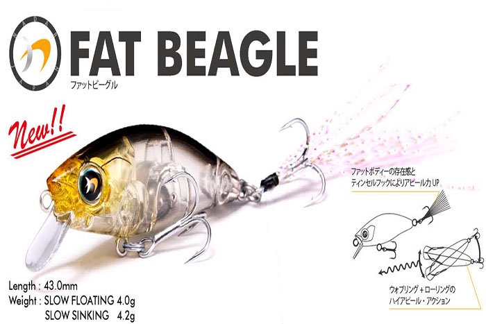 ナダ (nada)FAT BEAGLE (ファットビーグル)SF/SS モデル - WindySide