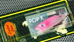 POP-X (SP-C) SS PEACH