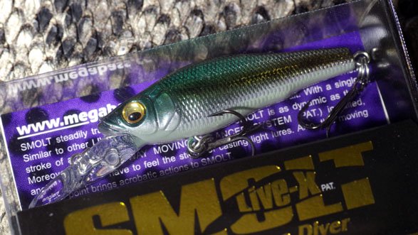 メガバス (Megabass)LIVE-X SMOLT (スモルト)M モロコ - WindySide ウィンディーサイド (Megabass  Concept Shop)