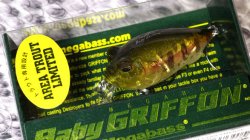 BABY GRIFFON (AREA TROUT LIMITED) NC ٥ӡޥ