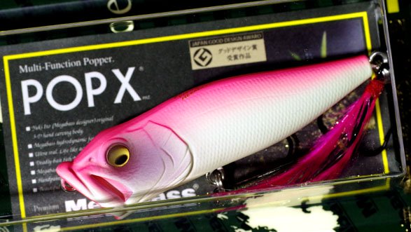 Megabass (メガバス) POPX (ポップエックス) (SP-C) グロー ピンク