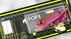 POPX (Megabass プレミアム SP-C) ガーベラ