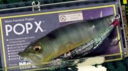 メガバス (Megabass)POPX (ポップエックス) (SP-C)ステルスギル